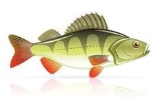 mereannid pankreatiidi jaoks